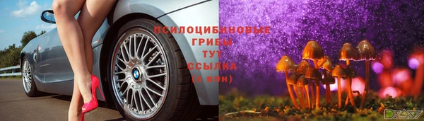 гидра Михайловск