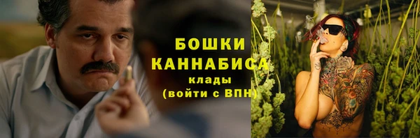 гидра Михайловск