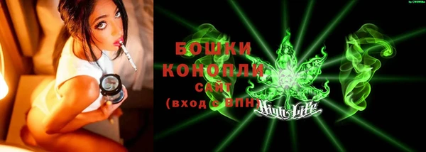 гидра Михайловск