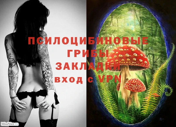 трава Надым