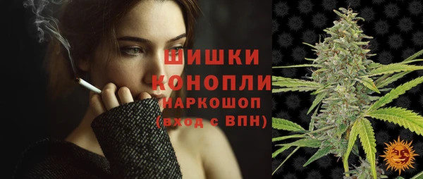 гидра Михайловск