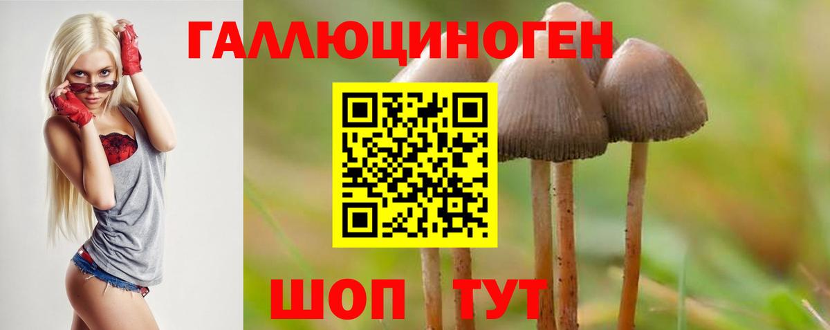 Галлюциногенные грибы Psilocybine cubensis  Вход с VPN  Куйбышев  Галлюциногенные грибы ЛСД 